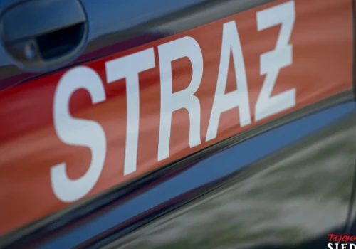 Pożary, dachowanie i auta na drzewach. Pracowity tydzień strażaków