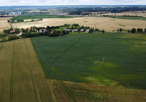516 ha ziemi poszło pod młotek w niecałą godzinę. Średnio 75,7 tys. zł za hektar