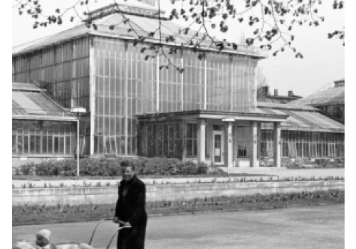 Podpisano umowę na modernizację zabytkowej palmiarni w Poznaniu
