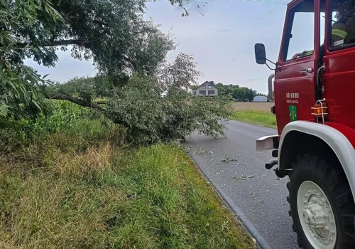 Interweniowali w Kotuni