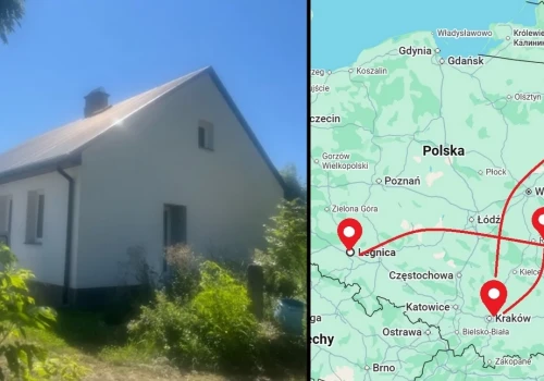 Pseudo hodowla kotów z Legnicy zajęła dom pod Łomżą