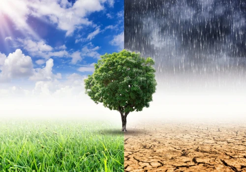 Zmiana klimatu w Polsce: nauka ostrzega, infrastruktura zostaje w tyle