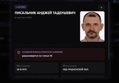 Rosyjscy dziennikarze opublikowali nową wyszukiwarkę osób poszukiwanych przez MSW Rosji