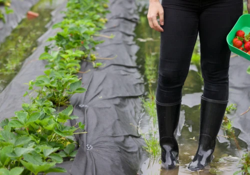 Deszcz pomoże wysuszonym rzekom. Hydrolog ostrzega jednak przed lokalnymi podtopieniami