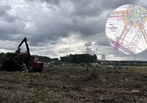 Wycinka drzew przy DK 79 w Jaworznie. Powstaną tu nowe ronda, wiadukty i drogi