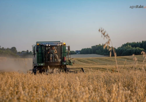 Ceny owsa 2026 po żniwach. Najwyższe stawki niższe o 70–80 zł/t
