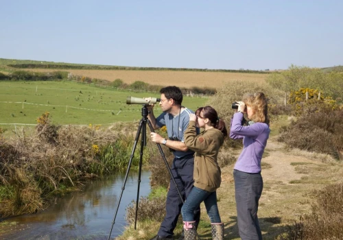 Pokolenie Z pokochało birdwatching. Smartfony zamieniają na lornetki