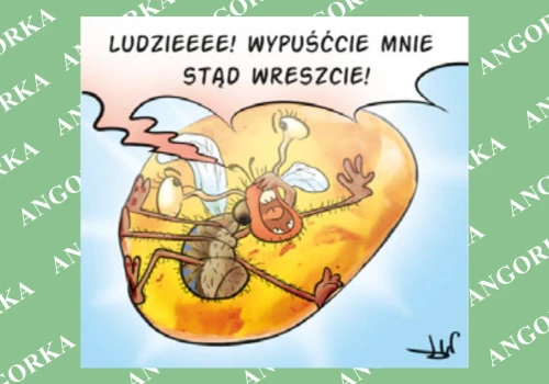 „Kosmita” sprzed 45 mln lat znaleziony w polskim bursztynie