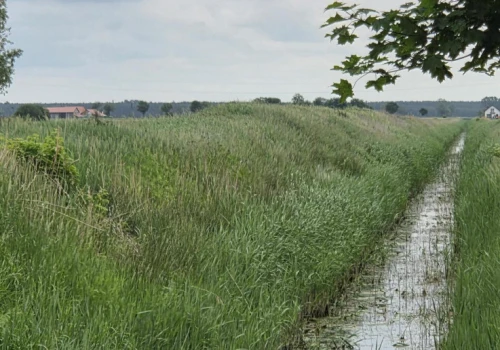 PIORiN kontroluje strefy ochronne. Tu łatwo o błąd
