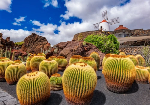 Tydzień all inclusive na Lanzarote 🌋🍹 4* hotel w Playa Blanca za 2835 PLN