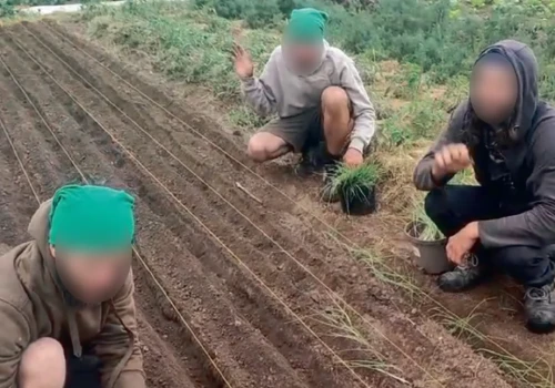 Życie w nyskiej sekcie