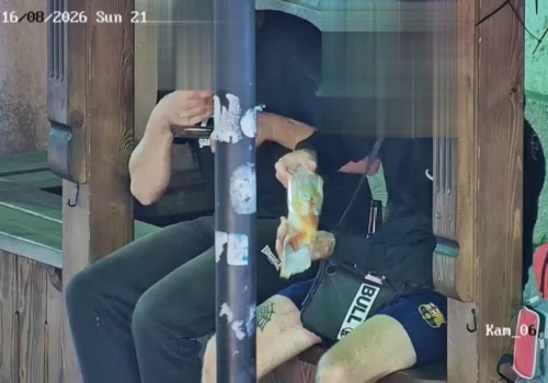 Myśleli, że nikt nie patrzy, a to wszystko się nagrało