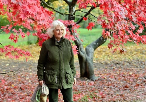 Królowa Camilla zaskoczyła stylizacją. Porzuciła suknię i garsonkę