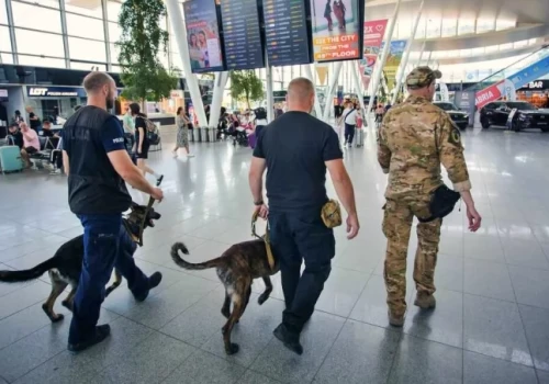 Na wrocławskim lotnisku zaroiło się od służb z psami tropiącymi