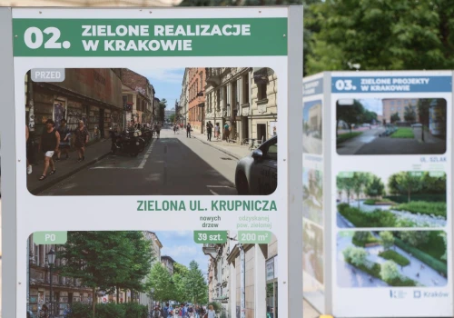 Drzewa zamiast betonu. Kraków pokazuje plan zielonej zmiany miasta