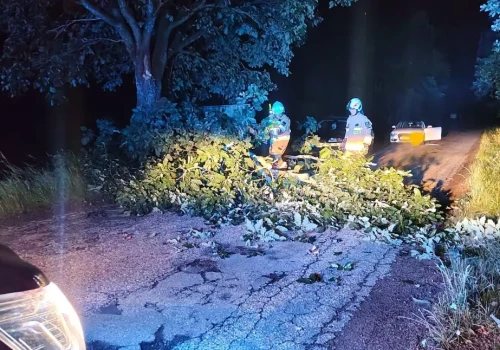Nocny wyjazd strażaków. Drzewo powalone na trasie Sypniewo–Szwecja