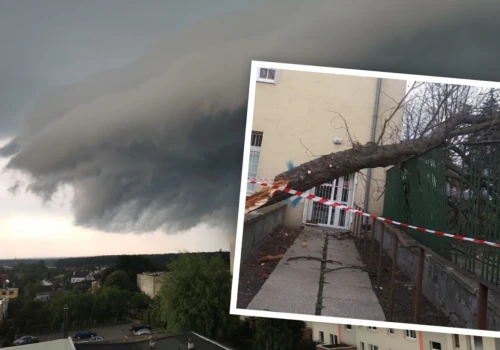 Gwałtowne burze nad Opolszczyzną: Dziesiątki połamanych drzew i zniszczone auta