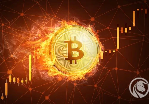 Bitcoin powyżej 71 000 USD – short squeeze i rekordowe napływy do ETF-ów napędzają rajd