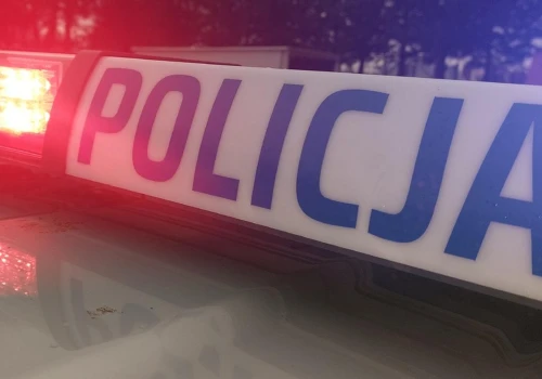 Tragiczny wypadek na Podkarpaciu. Auto wypadło z drogi, nie żyje 9-letnia dziewczynka