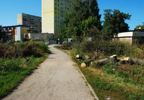 Drzewa pod budowę pętli wycięte. Mogą pojawiać się utrudnienia w ruchu