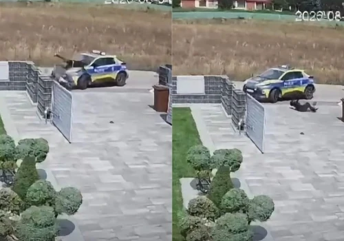 Policjant zajechał drogę 12-letniemu chłopcu na motorowerze. Zbigniew Stonoga twierdzi, że to usiłowanie zabójstwa
