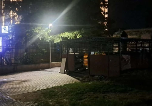 Gromada szczurów w zabytkowym centrum Świdnicy, obok ośrodka zdrowia i skweru