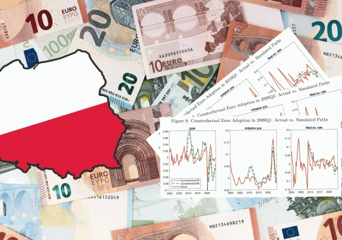 Polska z euro gorzej przeszłaby pandemię i kolejne kryzysy. Nowe badanie pokazuje koszt utraty złotego