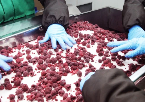 Polska chłodnia na granicy upadłości po 30 latach. Trwa strajk głodowy