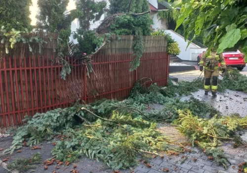 Zerwane dachy, powalone drzewa i brak prądu. Niszczycielskie burze przeszły przez Polskę