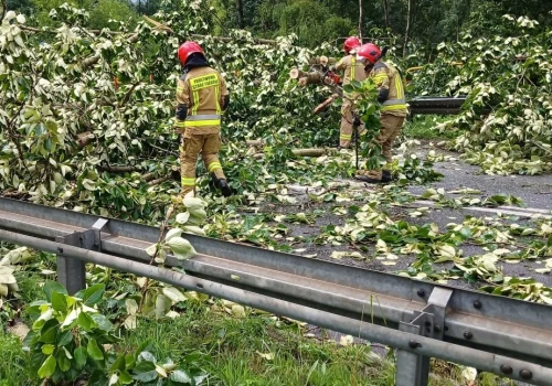 Burza w Mysłowicach. Połamane drzewa, awarie prądu i 14 interwencji strażaków