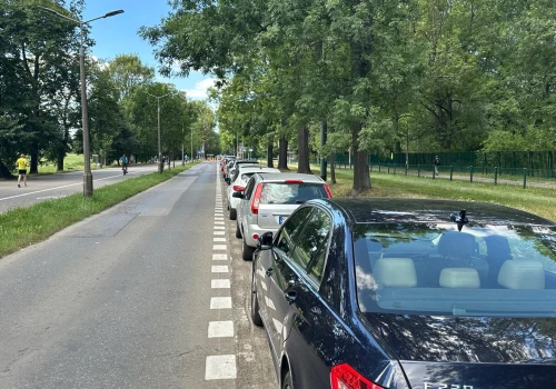 Przy Błoniach zlikwidowano ukośne parkowanie, by chronić drzewa. ZZM: najlepiej byłoby całkowicie wyeliminować ruch samochodowy