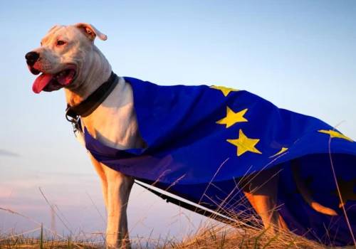 Gospodarka strefy euro daje oznaki życia. Niemiecki przemysł i usługi południa zaskakują