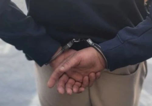 Gdynia: Odpowie za zabójstwo psa swojej partnerki