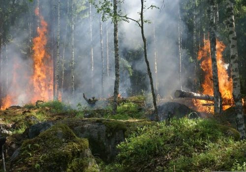 Zmiana klimatu może niemal potroić obszar pożarów w Europie