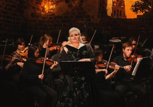 Opera, ruiny zamku i muzyka pod gwiazdami. W Dobrej powstaje nowy festiwal