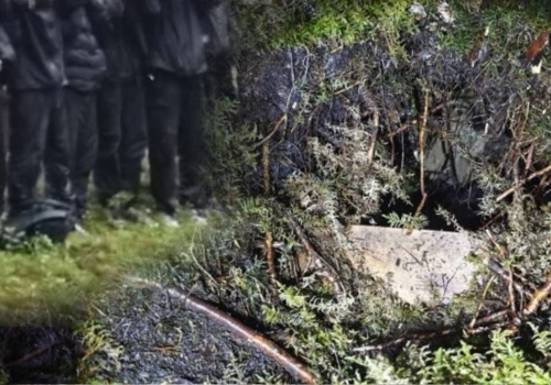 Tajny tunel na białoruskiej granicy z państwem bałtyckim. Złapano dziesiątki migrantów