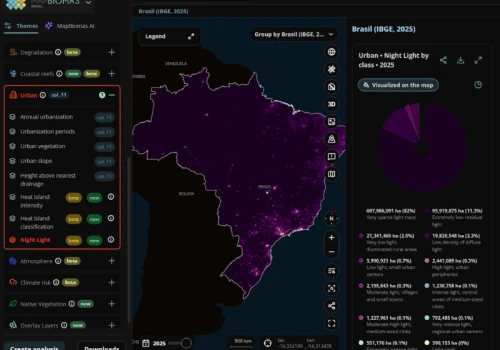 Dane o nocnym oświetleniu Brazylii opracowane na PG włączone do MapBiomas