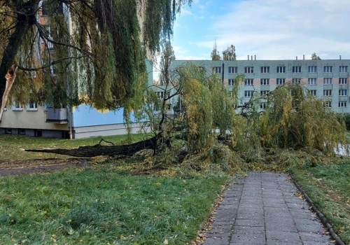 Nadciąga załamanie pogody. Burze, ulewy i wiatr do 100 km/h