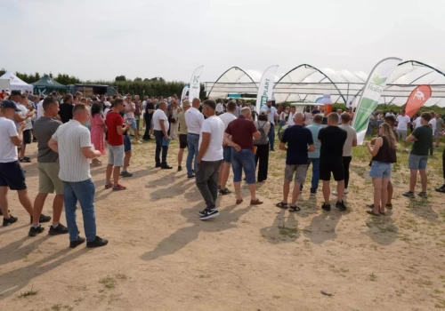 Automatyczne wietrzenie tuneli sposobem na ograniczenie problemów z pracownikami i zwiększenie plonów