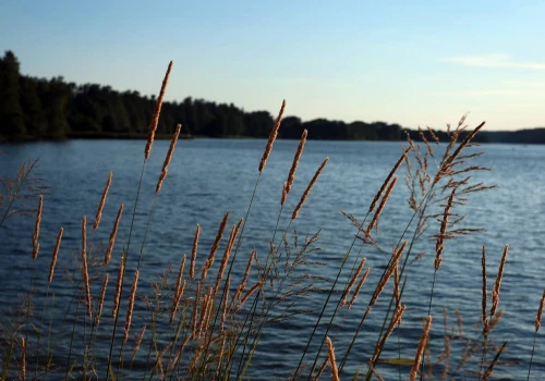 Za kilka dni rusza Podlaski Czek Turystyczny. O tych datach pamiętaj. Ile możesz zyskać?