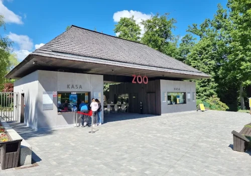 Rozpędzony rowerzysta potrącił 10-latka przy ZOO. Chłopiec trafił do szpitala