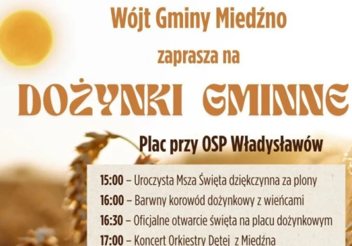 Święto plonów we Władysławowie. Gmina Miedźno zaprasza na dożynki