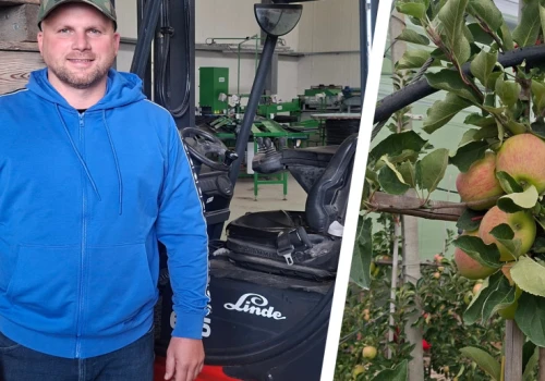 Żywioł w ciągu kilku minut zniszczył wszystko. Rolnik postawił na ochronę i wygrał z pogodą