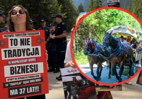 Awantura o fasiągi nabiera tempa. Fiakrzy ostrzegają: 