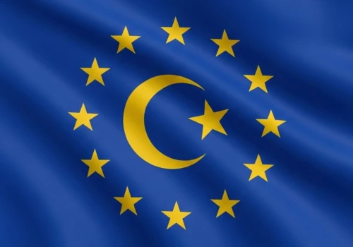 Nowa europejska rzeczywistość. Dawne królewskie miasto Francji staje się coraz bardziej strefą islamu