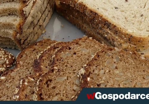 Ciemny chleb nie zawsze jest zdrowszy od białego. Jak wybrać dobre pieczywo?