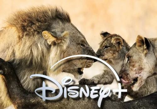 Użytkownicy Disney+ pokochali odcinanie kuponów. Nowy serial ich pożarł
