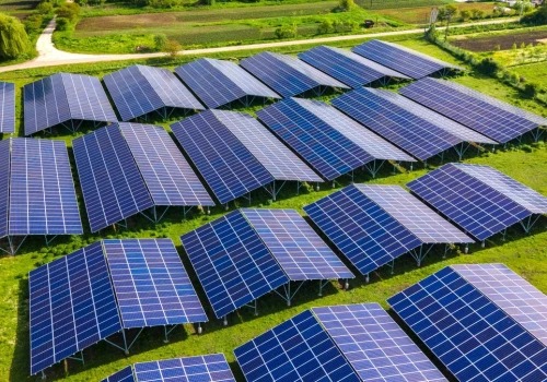 Czy rozwój energii słonecznej zagraża ptakom? Odkryto dziwne zależności