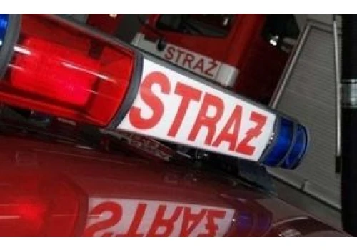 Pracowity poranek dla strażaków w regionie radomskim. Drzewa i konary na jezdniach i na samochodzie