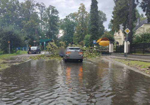 Drzewo runęło na auto i wiatę. Tak wyglądały skutki gwałtownej burzy